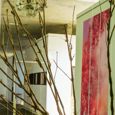 nature installation and corridor wall