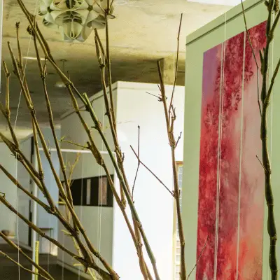 nature installation and corridor wall